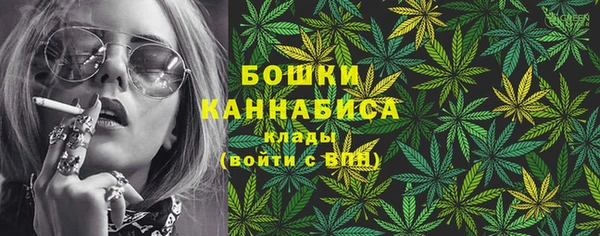 индика Алексеевка