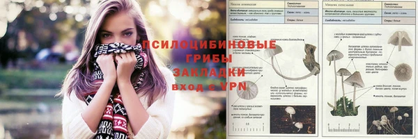 гашик Алзамай