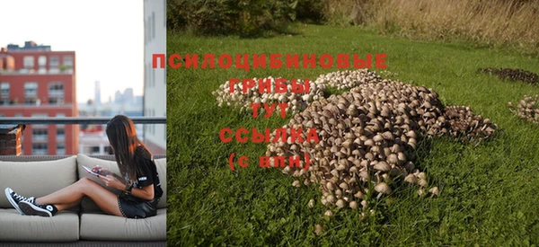 индика Алексеевка