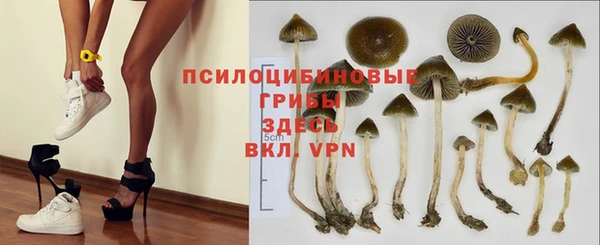 гашик Алзамай