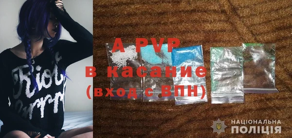 стаф Алексин