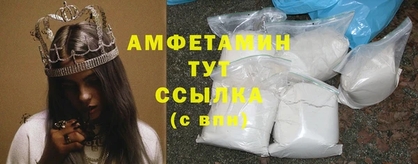 стаф Алексин