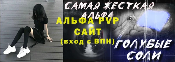 стаф Алексин